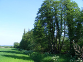 Marcal-menti rt s fasor, Smegprga felett, lefel tekintve (2008)